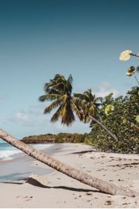 Nilaveli Beach an der Ostküste Sri Lankas