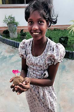 Entwicklung Minushi August 2023