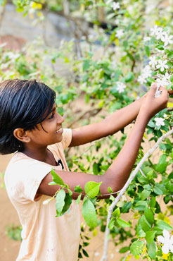 Entwicklung Vidukshini September 2024