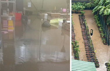 &Uuml;berfluteter Garten im Angels Home nach starkem Regen, die Folgen intensiver Wetterbedingungen sind deutlich sichtbar.