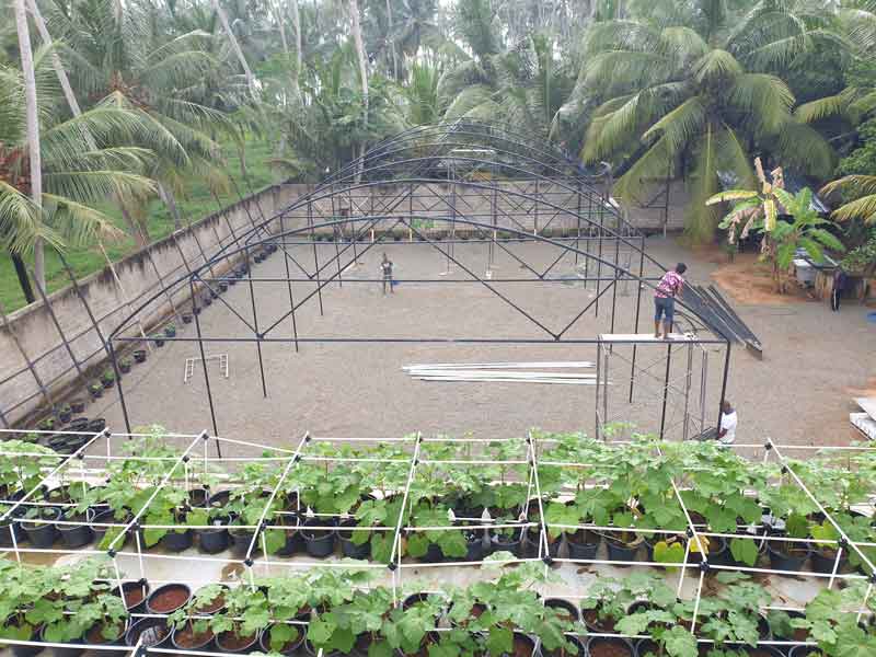 Mit dem Grundger&uuml;st anfangen