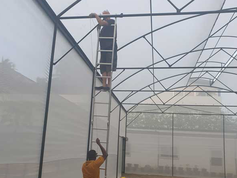 Drahseile spannen f&uuml;r die Rankengew&auml;chse