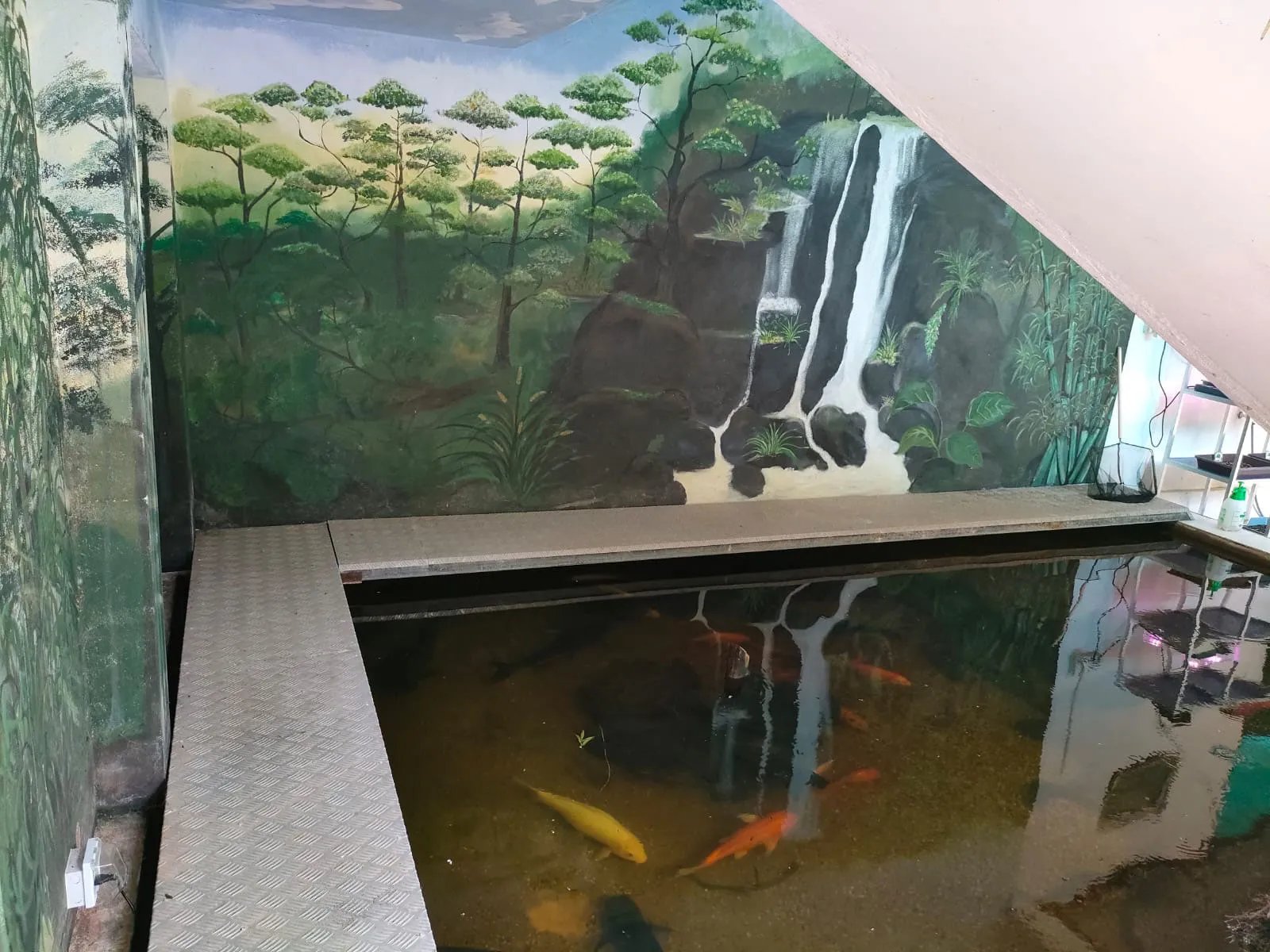 Entspannen am Fisch Pond
