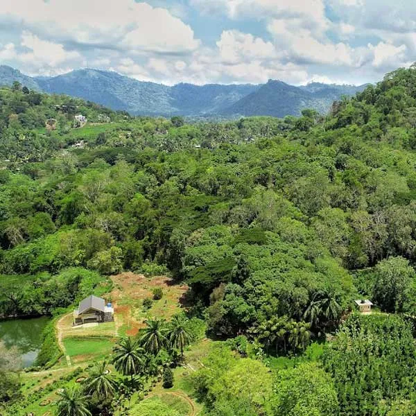 Der Botanische Garten in der N&auml;he von Kandy