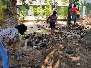 Bei der Gartenarbeit packen alle flei&szlig;ig mit an.