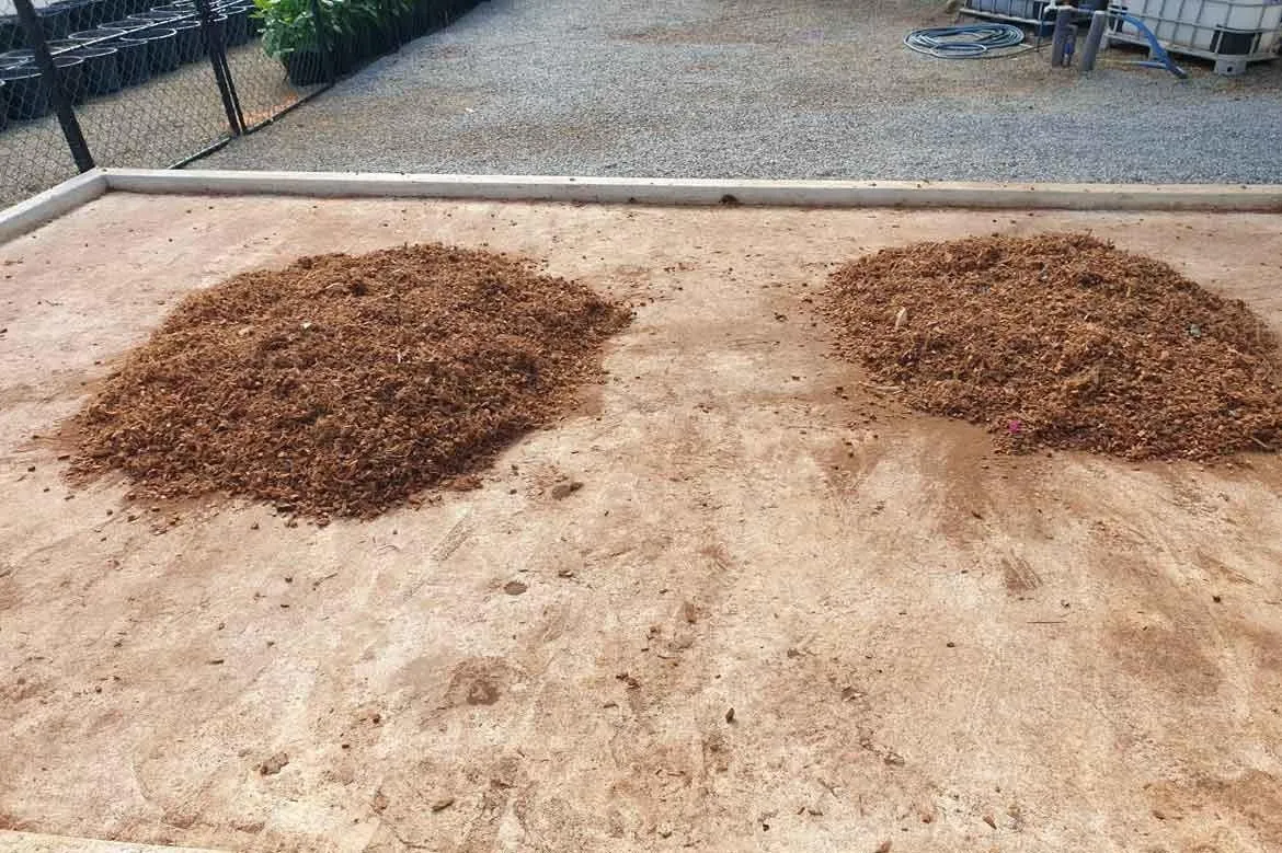 Getrocknete grobe Chips als Mulch