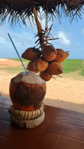 Gr&uuml;&szlig;e aus der Coconut-Bar