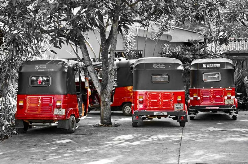 Three-Wheelers