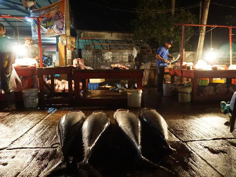 lokaler Fischmarkt in Negombo