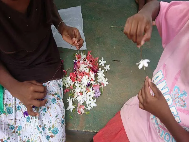 Einf&auml;deln der Bl&uuml;ten