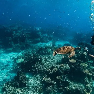 Die besten Tauchpl&auml;tze in Sri Lanka