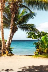 Naguleswaram Beach an der Nordküste Sri Lankas