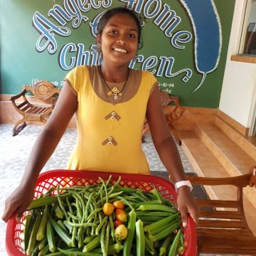 Alles was wir heute geerntet haben