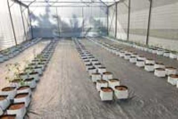 Entspannung statt Stress