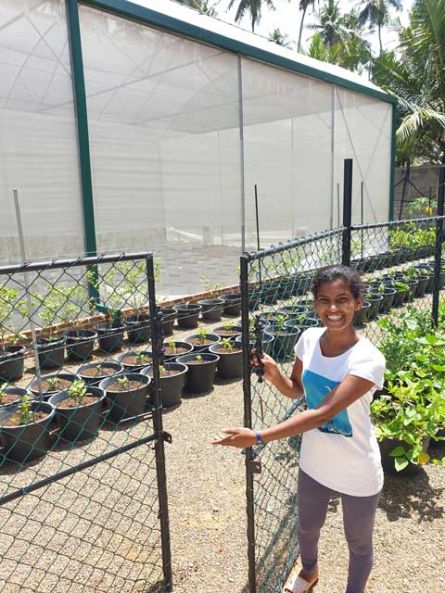 Unsere kleine Allesk&ouml;nnerin, vertritt mich wenn ich im B&uuml;ro sitzen muss.