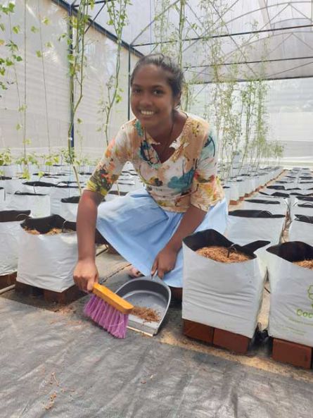 Verantwortlich f&uuml;r die Ernte und immer einen kessen Spruch auf Lager.