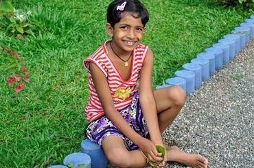 Entwicklung Mayomi (November 2020, geschrieben von Julia Fischer)