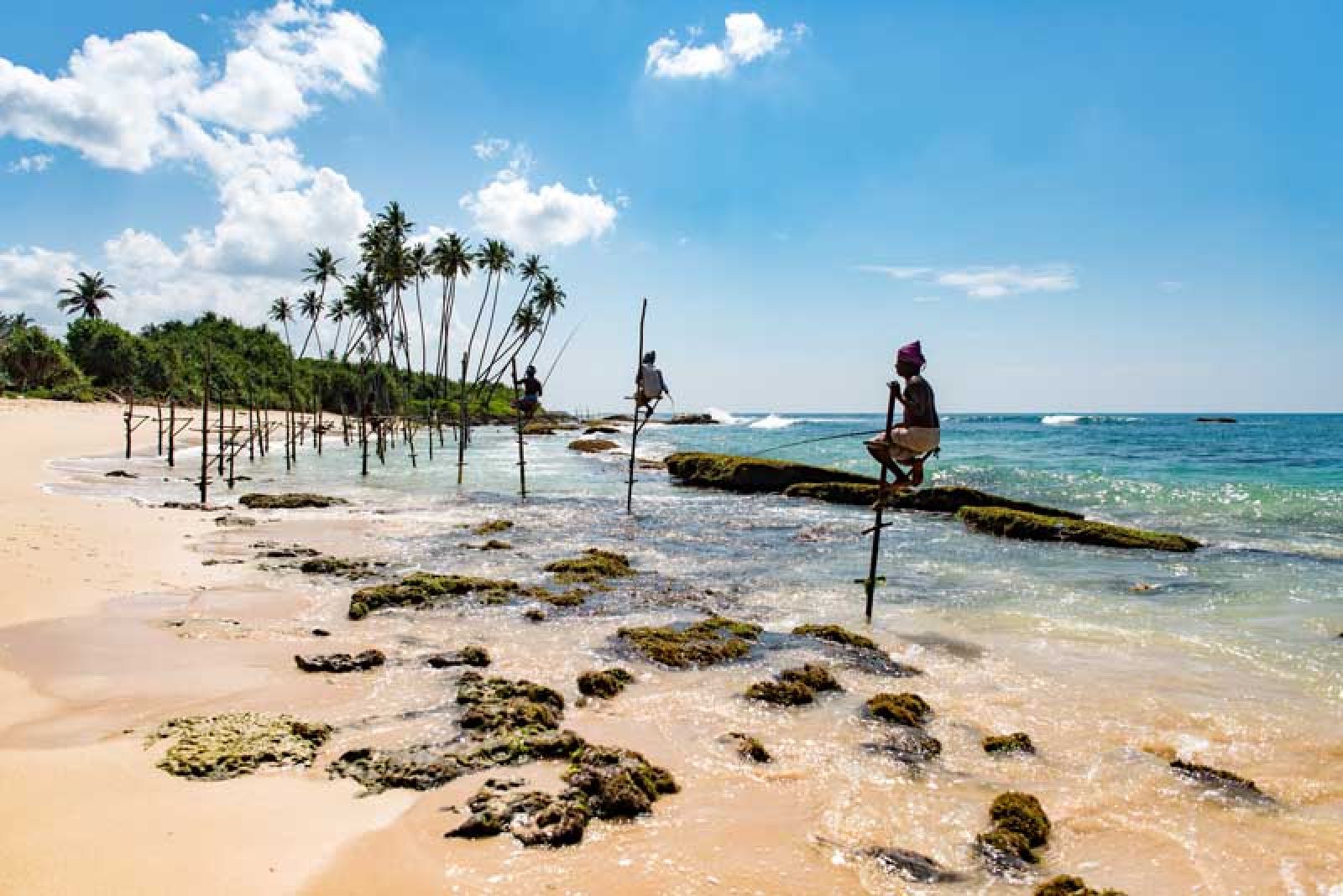 Stelzenfischer in Sri Lanka