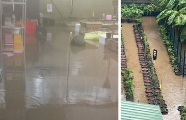 Überfluteter Garten im Angels Home nach starkem Regen, die Folgen intensiver Wetterbedingungen sind deutlich sichtbar.