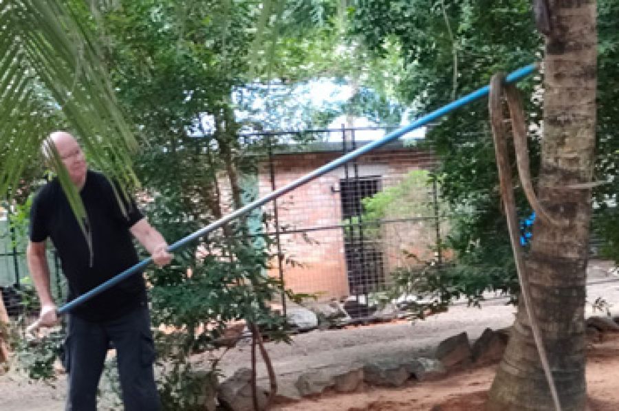 Erstmal die Rattenschlange vor meinen Hunden gerettet