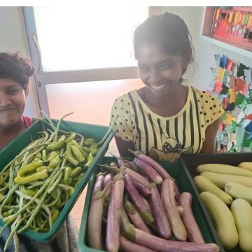Von Gurken, Aubergine, Salat, bei uns wächst eine Vielfalt